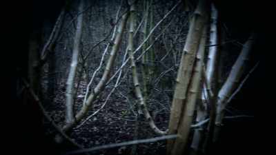 There were rabbits everywhere
and the house smelled. - First Blood