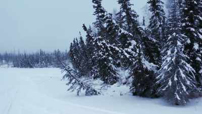 There'’s a lotta things that
have to come together - Life Below Zero: Next Generation