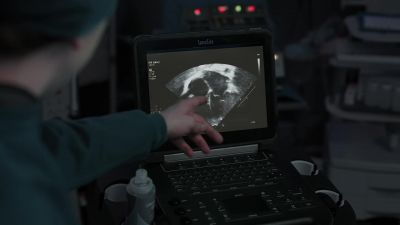 There. - The Good Doctor