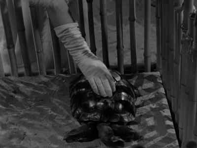 There! - Gilligan's Island