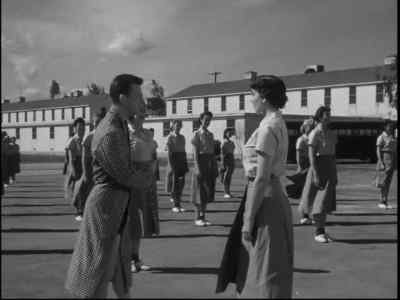 There? - Francis Joins the WACS