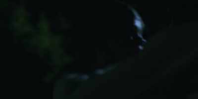 There. See it?
I don't want you to be scared. - Mr. Corman