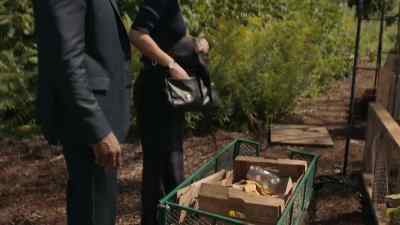 There were seedlings in this box. - Coroner