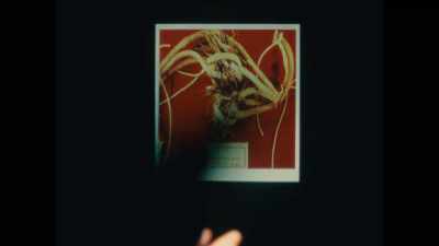 There was something
about rope and binding - Mastermind: To Think Like a Killer