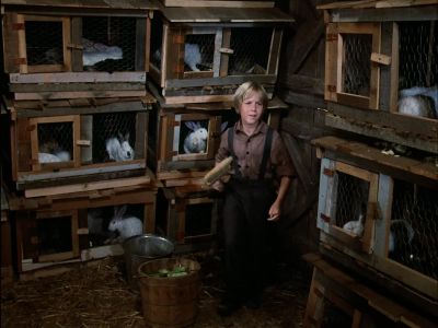 There is something you can do - Little House: The Last Farewell