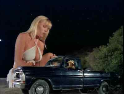There is something out there. - Attack of the 60 Foot Centerfold