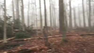 There is something
strange going on out here - The Fear Footage