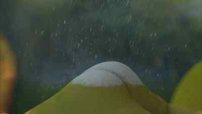 There.
That's better. - Shrek the Halls