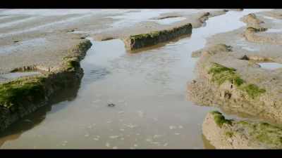There was the riverbed that contained a lot of mud - The History of Home Narrated by Nick Offerman