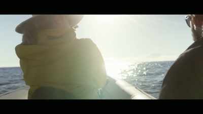 There is the underlying message, - Envoy: Shark Cull
