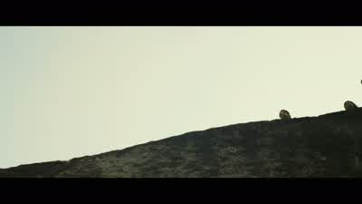 There! There they are! - Help us! - Hey! Hey! - Look, look! They see us! - Come on. - Greenland