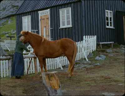 There, there. Good boy. - Godland