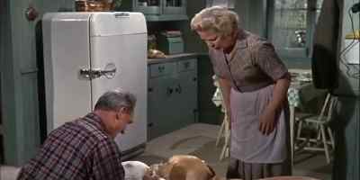 THERE, THERE, LADDIE.
IT'S NOT AS BAD AS ALL THAT. - The Incredible Journey