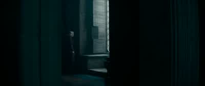 - -There. There. - Fantastic Beasts: The Secrets of Dumbledore