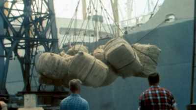 There was thousands of men
loading lorries by hand, - Liverpool Narcos