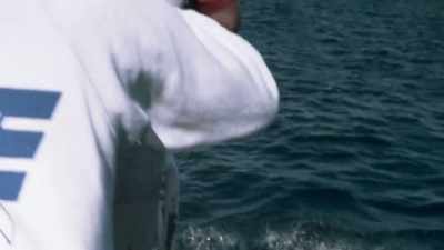 There were three sharks around.
And one was very sweet. - Playing with Sharks
