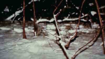 There were two sets... footprints
in, only one set coming back out. - Mastermind: To Think Like a Killer