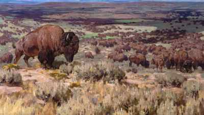 "There were uncounted millions
of the beasts. - The American Buffalo