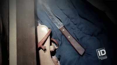 THERE WAS A BUTCHER KNIFE
FROM THE KITCHEN - The Lake Erie Murders