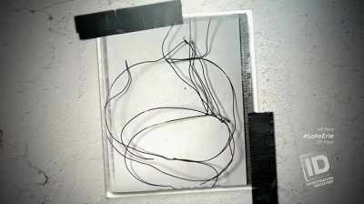 THERE WAS ALSO
SOME STRANDS OF WIRE - The Lake Erie Murders