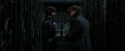 There was this dame there,
and she had a veil, - Fantastic Beasts: The Crimes of Grindelwald