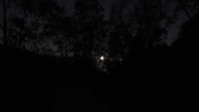 There was this one
night my husband and I, - Horror in the High Desert 2: Minerva