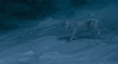 There wasn't much to eat on this mountainuntil nowTell me how did you cover your tracks in the snowA bird helped usLions getting help from a birdJust as I will help youYou will help usYou think we need help from a wounded cowardI may hold the blood of a - Mufasa: The Lion King
