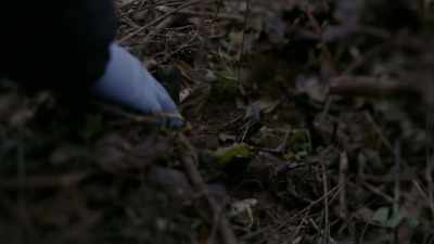 THERE WERE TWO JUMBLED, - Casey Anthony: An American Murder Mystery