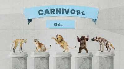 There weren't just wolves.
There's what's called a carnivore guild. - Inside the Mind of a Dog