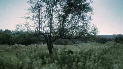 There, he will be taken
in by federal troops - Blood and Fury: America's Civil War