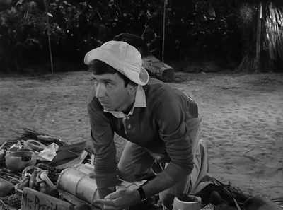 There would be no government because - The Gilligan Manifesto