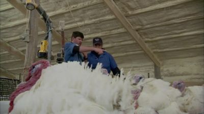 THERE YOU GO.EXCUSE ME. - Dirty Jobs