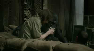 There you go. - Dawn of the Planet of the Apes