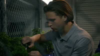 There you go. - Cobra Kai