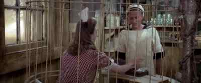 THERE YOU GO.
SORRY ABOUT THAT. - Popeye