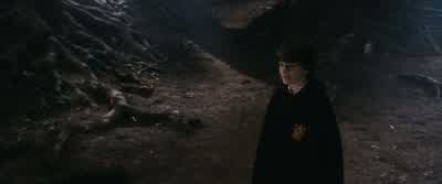 Therefore, as punishment for your actions, 50 points will be taken. - Harry Potter and the Philosopher's Stone