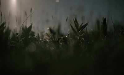 Therefore, to find
The side of the emulsion, - Geographies of Solitude