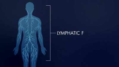 >> There's 600 different
lymphatic filters in the main - The Way of Miracles