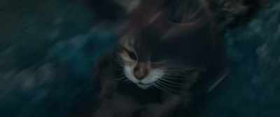 -There's a big flying mouse!
-What? Come on, that's - Cat and Dog