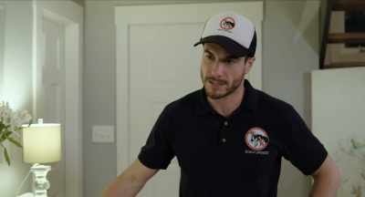 There's a bunch of bugs- - Birdies