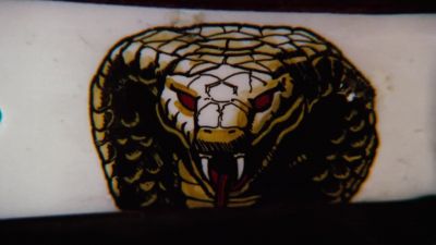 There's a burglary every 11 seconds - Cobra