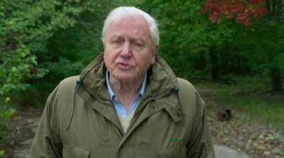 There's a chance for us to make amends, - David Attenborough: A Life on Our Planet
