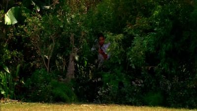 There's a clearing up
ahead. Let's be careful. - CSI: Miami