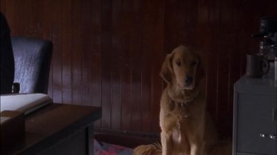 There's a dog in here - Jesse Stone: Stone Cold
