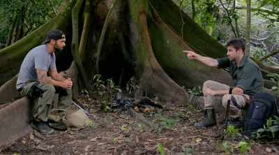 - There's a giant
caiman drifting past there, - Kings of Pain