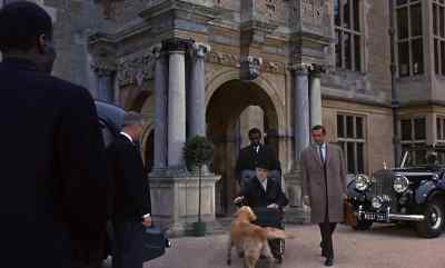 There's a good dog,
Rollo. Good dog. - Woman of Straw