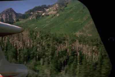 There's a lot of open
space out there. - The Adventures of the Wilderness Family