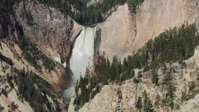 There's a moment when the chicks
are ready to take off - Epic Yellowstone
