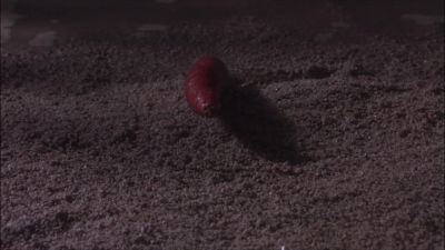 There's a party and I'm not invited - Jack Frost 2: Revenge of the Mutant Killer Snowman