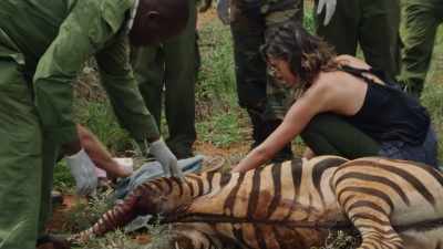 There's a real importance to
protect what we do have left, - Why on Earth